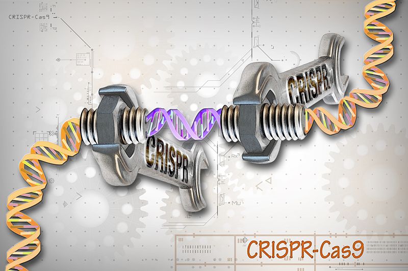 CCrispr/Cas9: Uma Revolução na Edição Genética